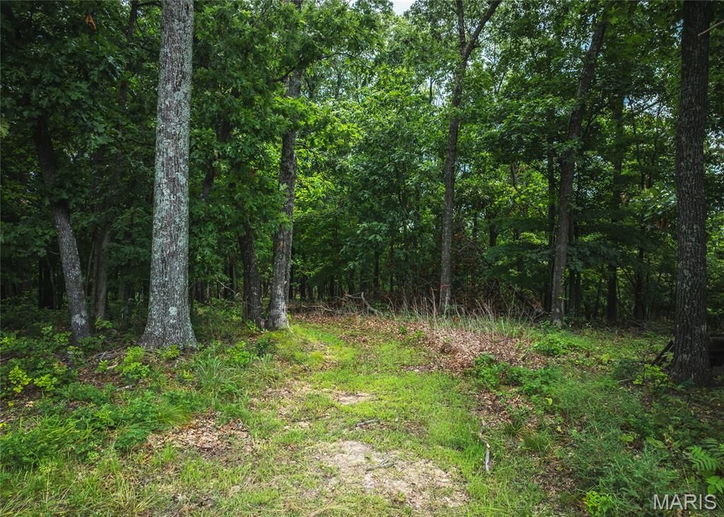 2 Trails End Trail, House Springs, MO 63051