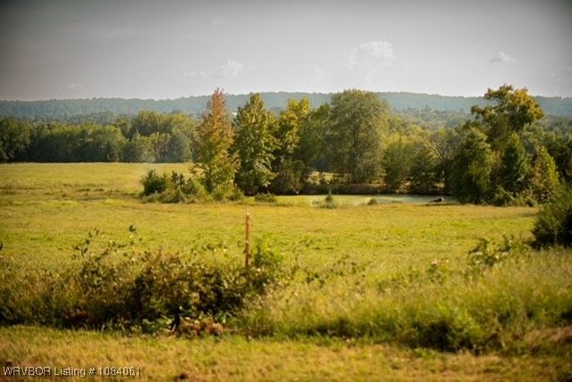 988 Harlon Ryan Road, Booneville, AR 72927