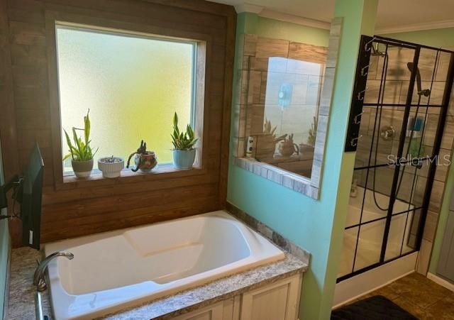 210 PHILADELPHIA COURT 17, Palm Harbor, FL 34684