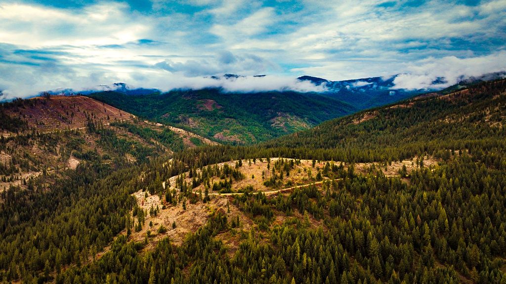 Nhn Bulls & Bucks Ranch, Plains, MT 59859 photo 10