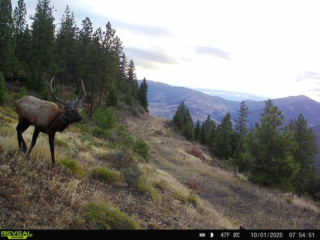 Nhn Bulls & Bucks Ranch, Plains, MT 59859 photo 102