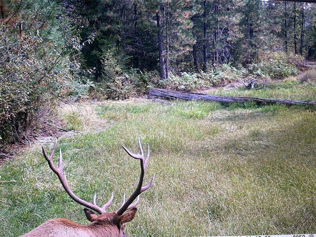 Nhn Bulls & Bucks Ranch, Plains, MT 59859 photo 104