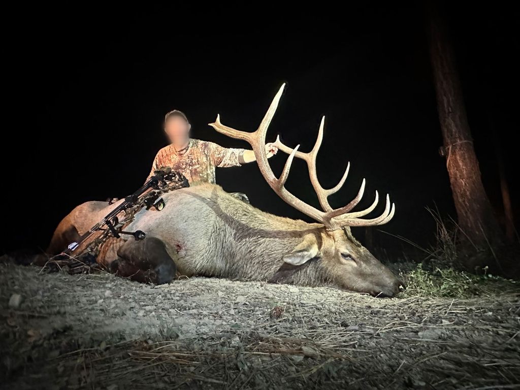 Nhn Bulls & Bucks Ranch, Plains, MT 59859 photo 105