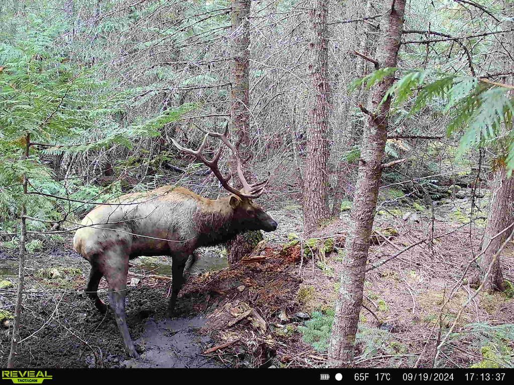 Nhn Bulls & Bucks Ranch, Plains, MT 59859 photo 14