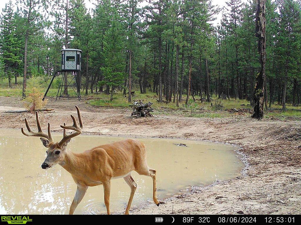Nhn Bulls & Bucks Ranch, Plains, MT 59859 photo 15