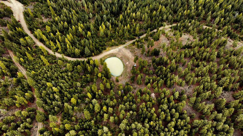Nhn Bulls & Bucks Ranch, Plains, MT 59859 photo 57