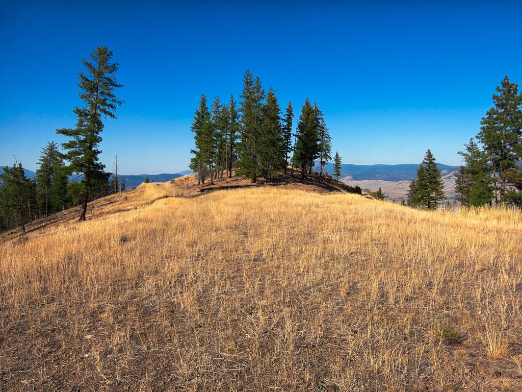 Nhn Bulls & Bucks Ranch, Plains, MT 59859 photo 61