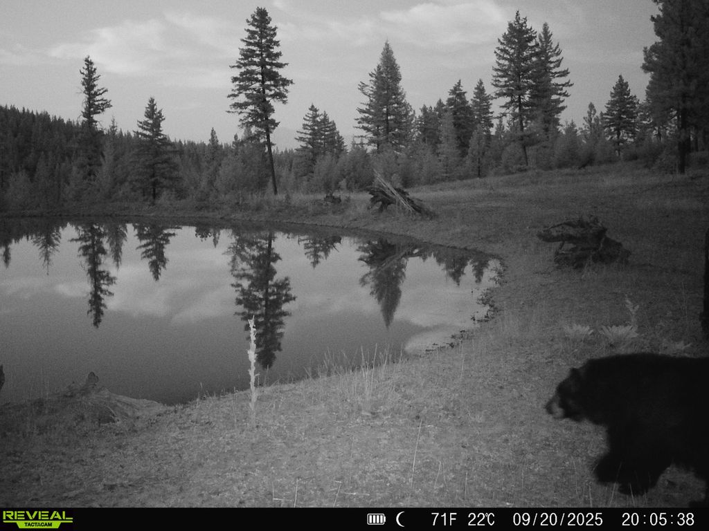 Nhn Bulls & Bucks Ranch, Plains, MT 59859 photo 97