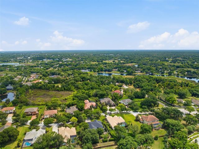 19708 WELLINGTON MANOR BOULEVARD, Lutz, FL 33549