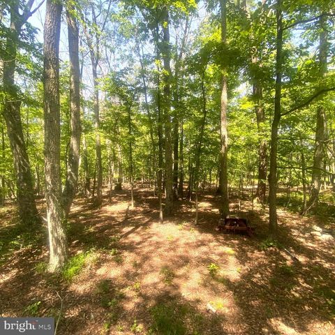 979 RITTER DR, Capon Bridge, WV 26711