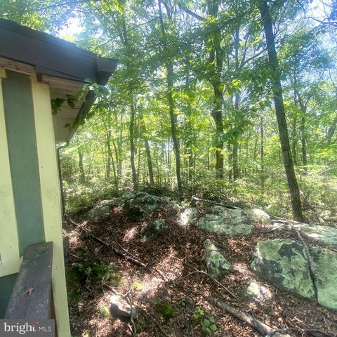 979 RITTER DR, Capon Bridge, WV 26711