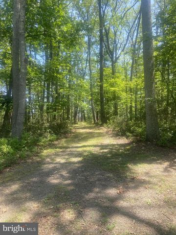 979 RITTER DR, Capon Bridge, WV 26711