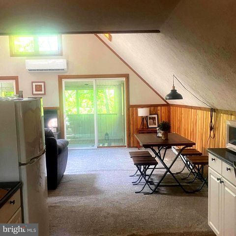 979 RITTER DR, Capon Bridge, WV 26711