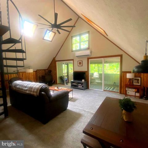 979 RITTER DR, Capon Bridge, WV 26711