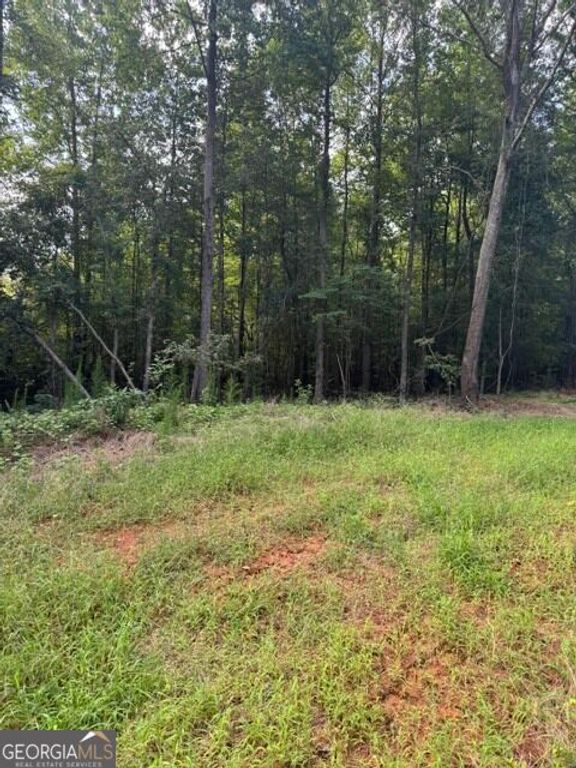 LOT #4 Rita Ridge, Jefferson, GA 30549 — photo 4