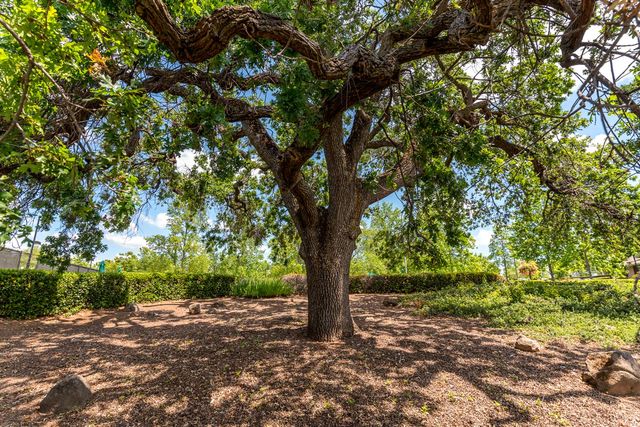 2821 Springfield Dr, Rocklin, CA 95765