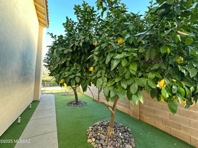 780 S Shadowtree Place, Tucson, AZ 85748