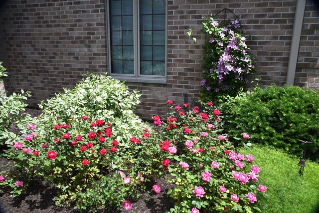 1240 Mary Hill CIRCLE, Hartland, WI 53029