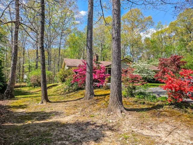 80 Hannah Drive, Ellijay, GA 30540