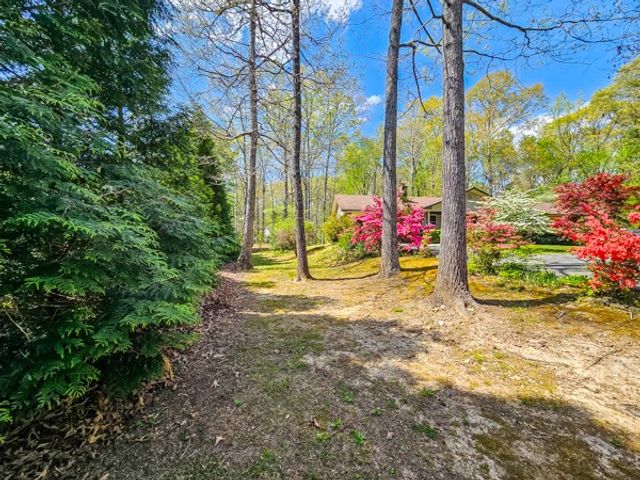 80 Hannah Drive, Ellijay, GA 30540