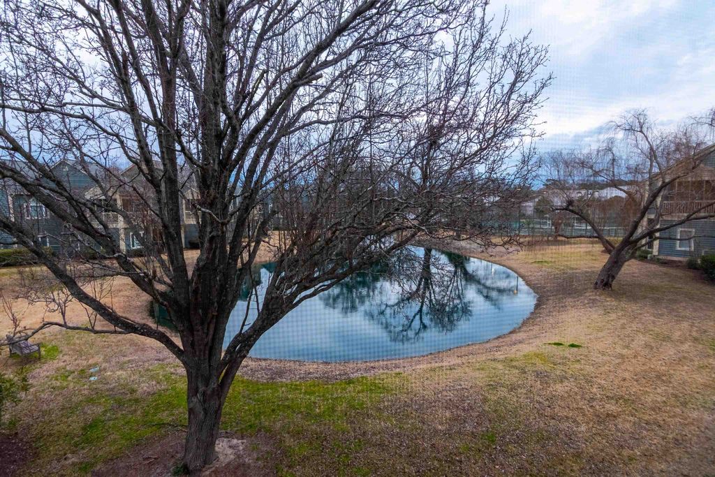 808 Castleford Cir Apt 3F, Myrtle Beach, SC 29572 — photo 5