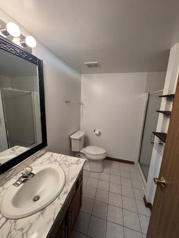 910 E 152nd Place, Phoenix, IL 60426