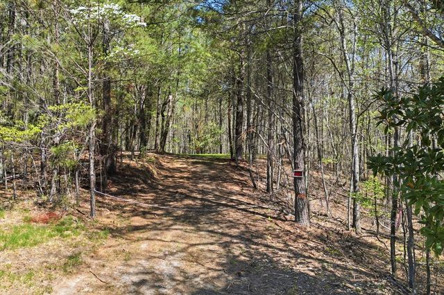 125 Heritage Plantation, Ball Ground, GA 30107