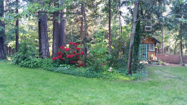 30916 Bambi Drive, Shingletown, CA 96088