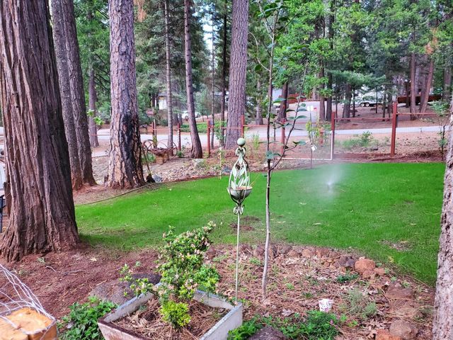 30916 Bambi Drive, Shingletown, CA 96088