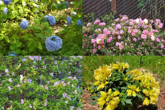 30916 Bambi Drive, Shingletown, CA 96088