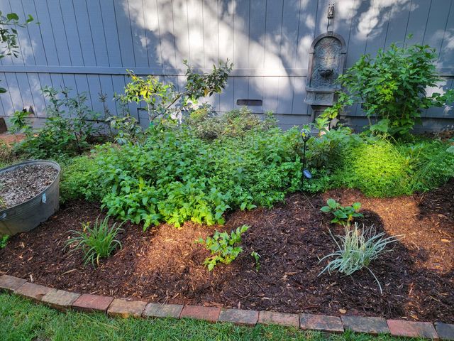 30916 Bambi Drive, Shingletown, CA 96088