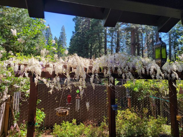 30916 Bambi Drive, Shingletown, CA 96088