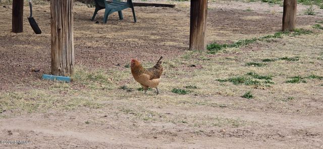 959 Lujan Hill Road, Las Cruces, NM 88007