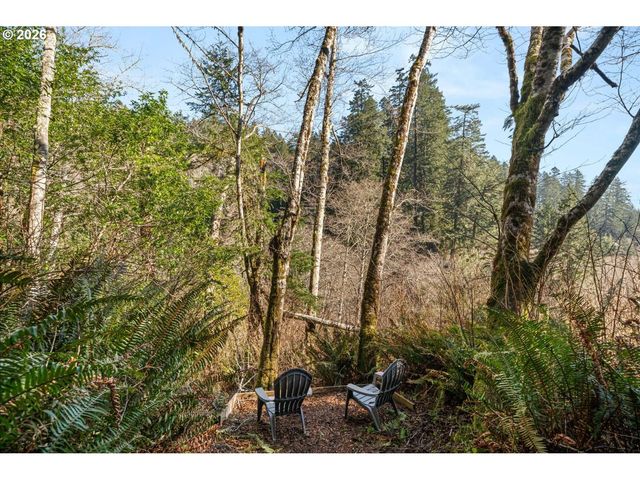 17285 RUSTIC Ln, Brookings, OR 97415