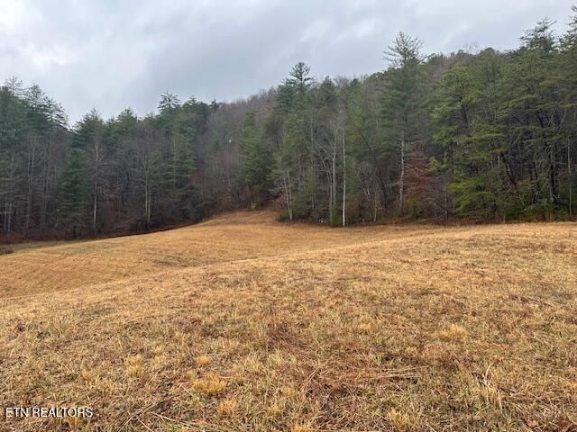 680 Bug Branch Rd, Del Rio, TN 37727