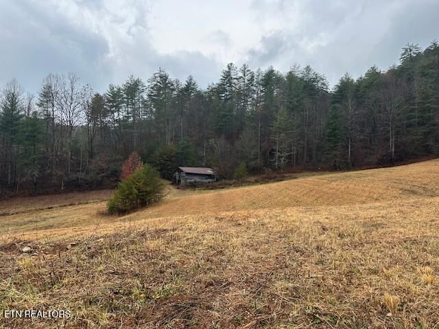 680 Bug Branch Rd, Del Rio, TN 37727