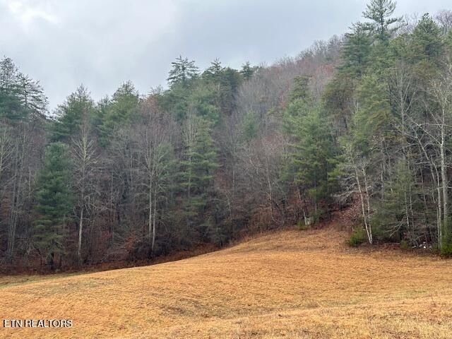 680 Bug Branch Rd, Del Rio, TN 37727