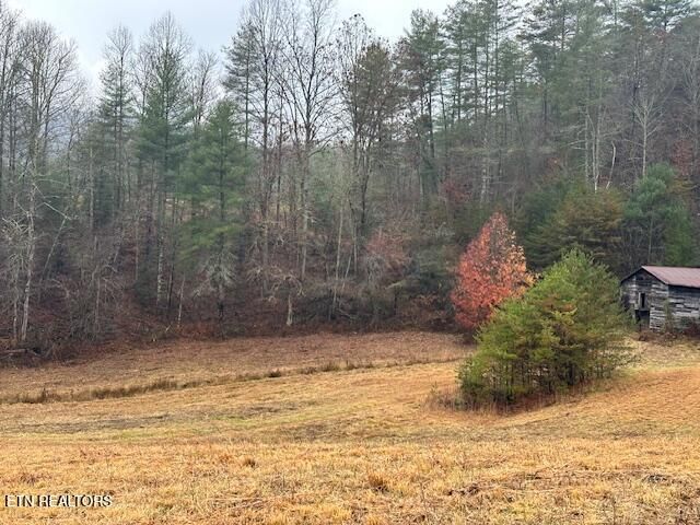 680 Bug Branch Rd, Del Rio, TN 37727