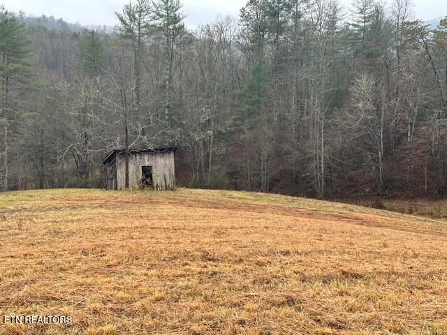 680 Bug Branch Rd, Del Rio, TN 37727