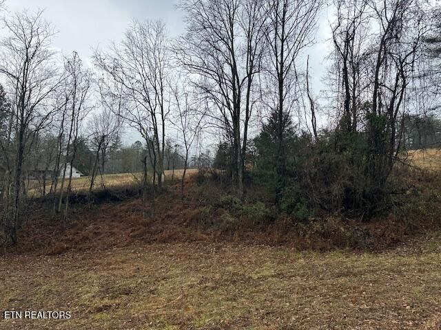 680 Bug Branch Rd, Del Rio, TN 37727