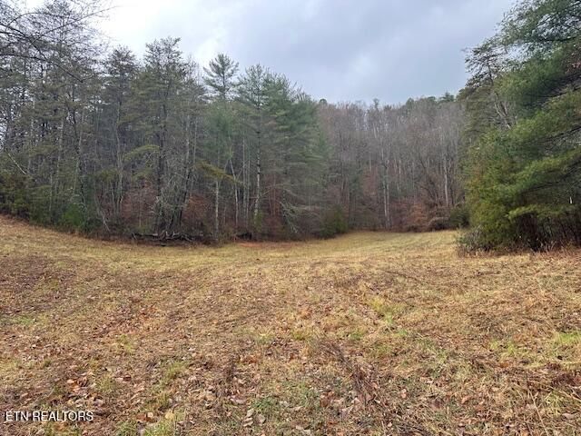 680 Bug Branch Rd, Del Rio, TN 37727