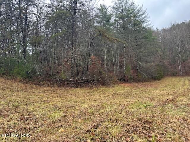 680 Bug Branch Rd, Del Rio, TN 37727