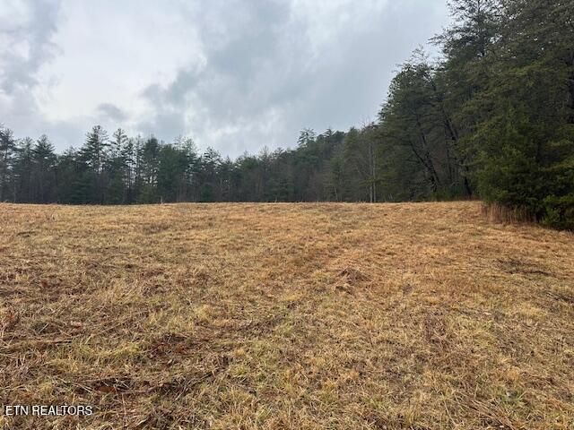 680 Bug Branch Rd, Del Rio, TN 37727