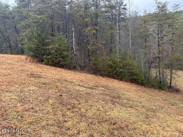 680 Bug Branch Rd, Del Rio, TN 37727