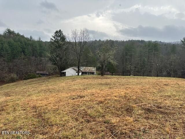 680 Bug Branch Rd, Del Rio, TN 37727