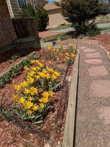 981 Oakwood Drive, Castle Rock, CO 80104