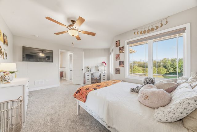 20328 Taliesin Way, Frankfort, IL 60423