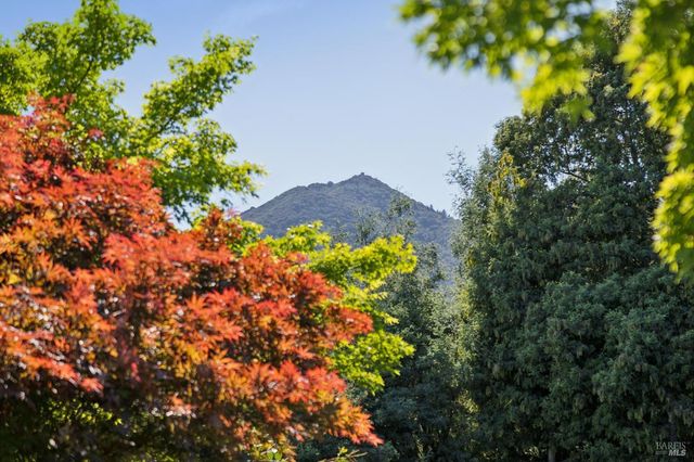 85 Berens Dr, Kentfield, CA 94904