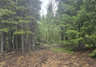4 Royce Pine Road, Crescent Lake, OR 97733