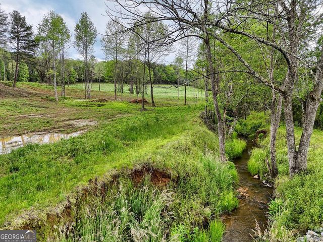 0 Shuler Road, Blairsville, GA 30512